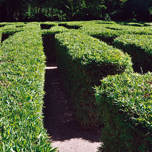 Bamboo Root Control System - Barrier Control
