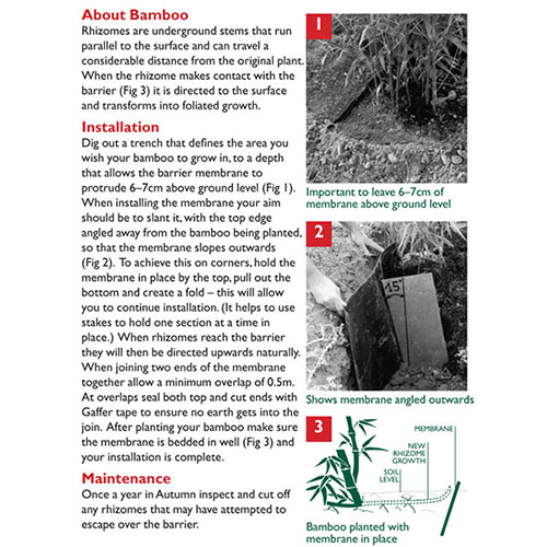 Bamboo Root Control System - Barrier Control