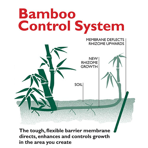 Bamboo Root Control System - Barrier Control