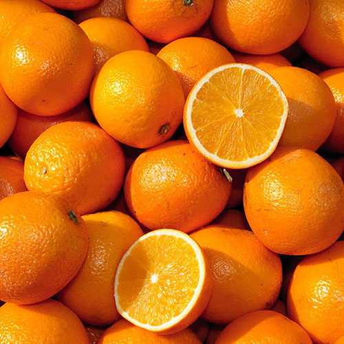 Sicilian Orange Tree