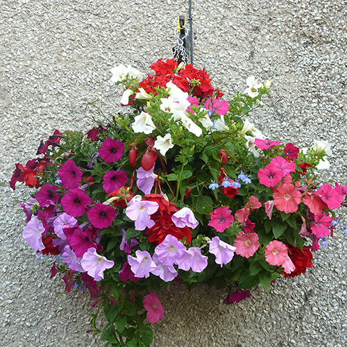 Easy Fill Hanging Baskets Easy Fill Hanging Baskets
