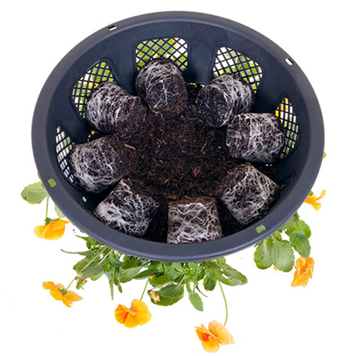 Easy Fill Hanging Baskets Easy Fill Hanging Baskets