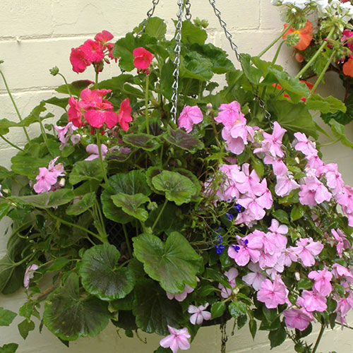Easy Fill Hanging Baskets Easy Fill Hanging Baskets