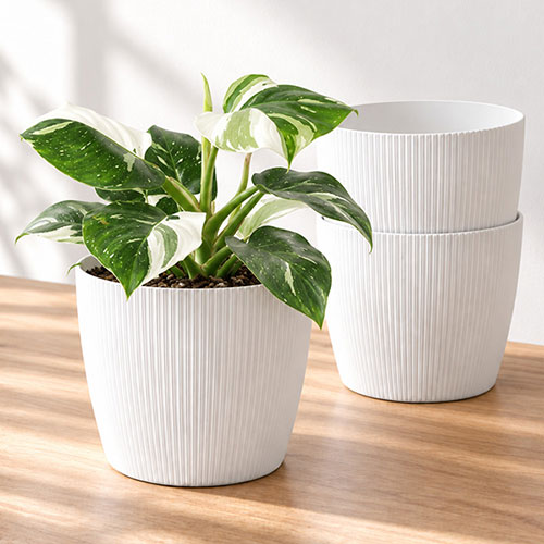 Magnolia Eco White Houseplant Pot Covers Magnolia Eco White Houseplant Pot Covers