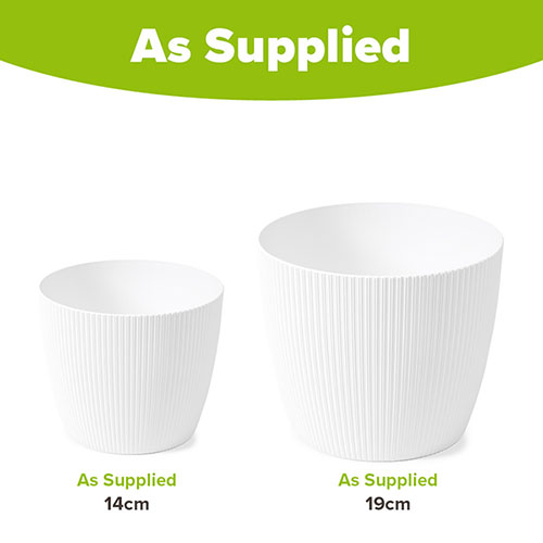Magnolia Eco White Houseplant Pot Covers Magnolia Eco White Houseplant Pot Covers