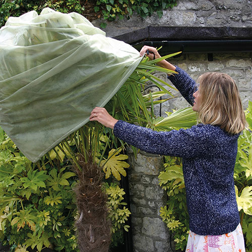 Giant Fleece Plant Cosies Giant Fleece Plant Cosies
