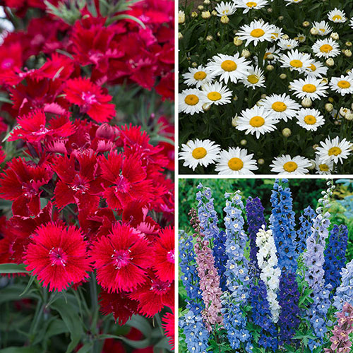 Complete Hardy Garden Perennial Collection Complete Hardy Garden Perennial Collection