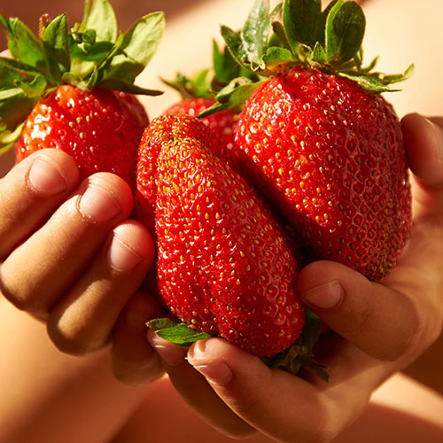 Complete Strawberry Sweet Colossus Patio Collection