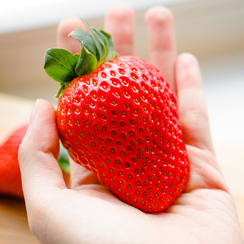 Complete Strawberry Sweet Colossus Patio Collection