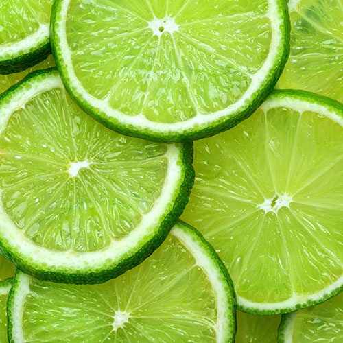 Citrus Lime Tree with Fruit