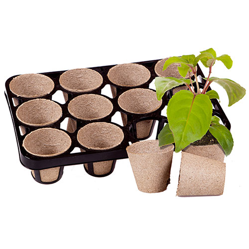 Skelly Tray and Jiffy Pots Skelly Tray and Jiffy Pots