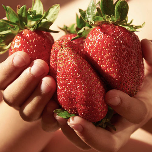 Strawberry Sweet Colossus