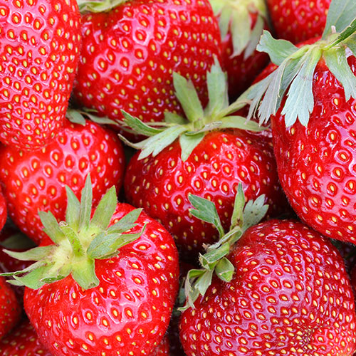 Strawberry Sweet Colossus