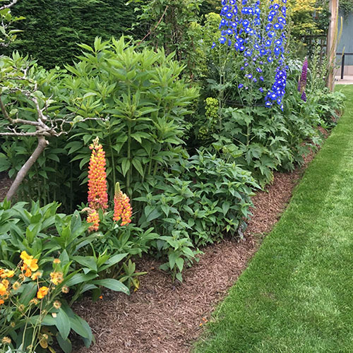 Strulch Mineralised Straw Garden Mulch