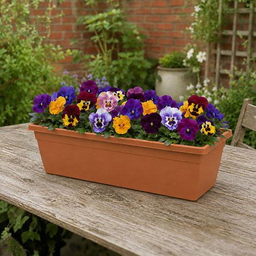 Terracotta Leonardo Window Box Terracotta Leonardo Window Box