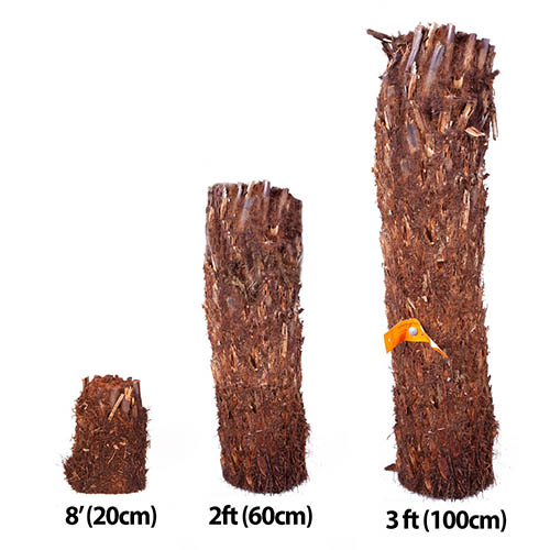 Tree Fern Dicksonia Antarctica Log Tree Fern Dicksonia Antarctica Log