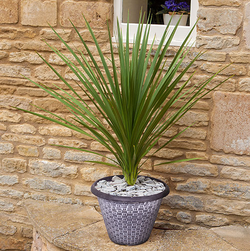 Wicker Textured Planter Wicker Textured Planter