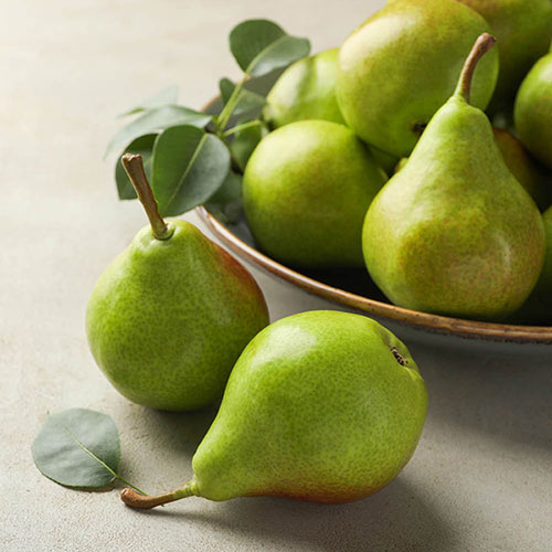 Patio Pear Garden Pearl Tree