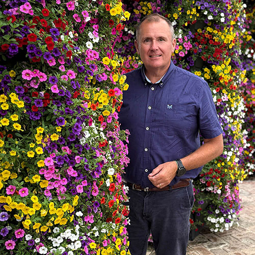 Calibrachoa Cabaret Collection Calibrachoa Cabaret Collection