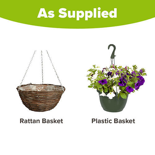 Pre-Planted Patriotic Mix Hanging Baskets