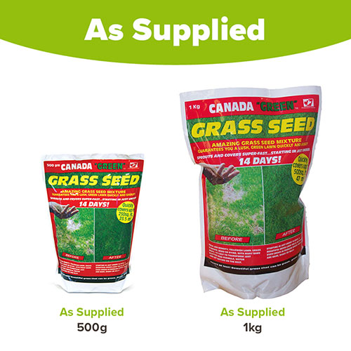 Canada Green Grass Seed Canada Green Grass Seed