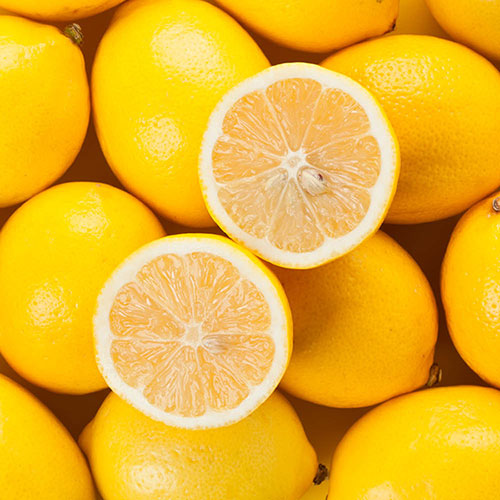Large Sicilian Lemon Trees Large Sicilian Lemon Trees