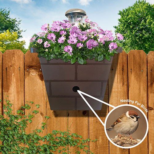 Revolutionary 3-in-1 Fence Planter, Birdbox and Solar Light