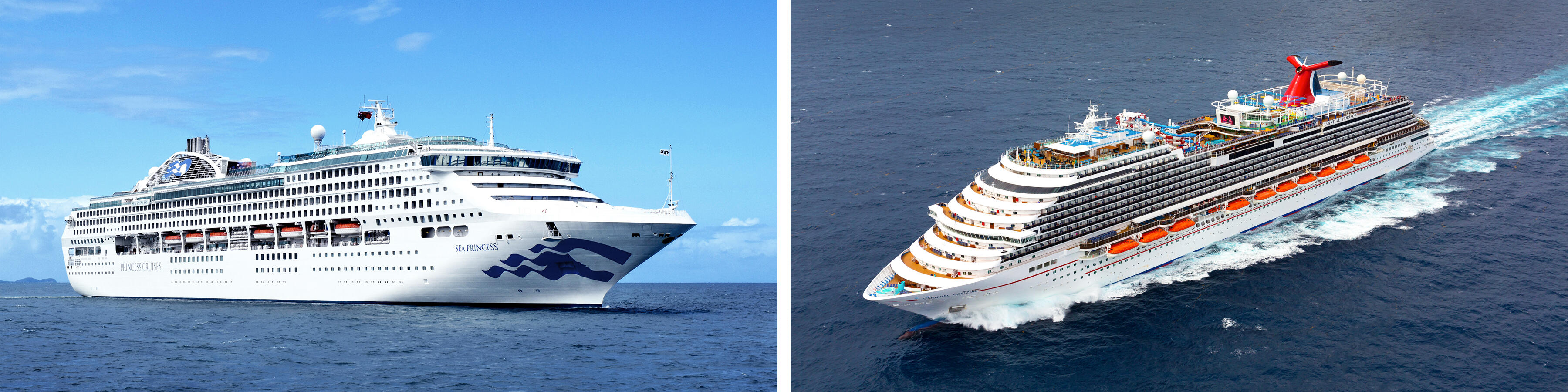 Princess Cruises vs. Carnival Cruise Line
