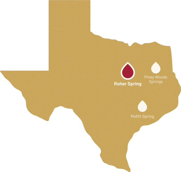 Roher Spring location on Texas map