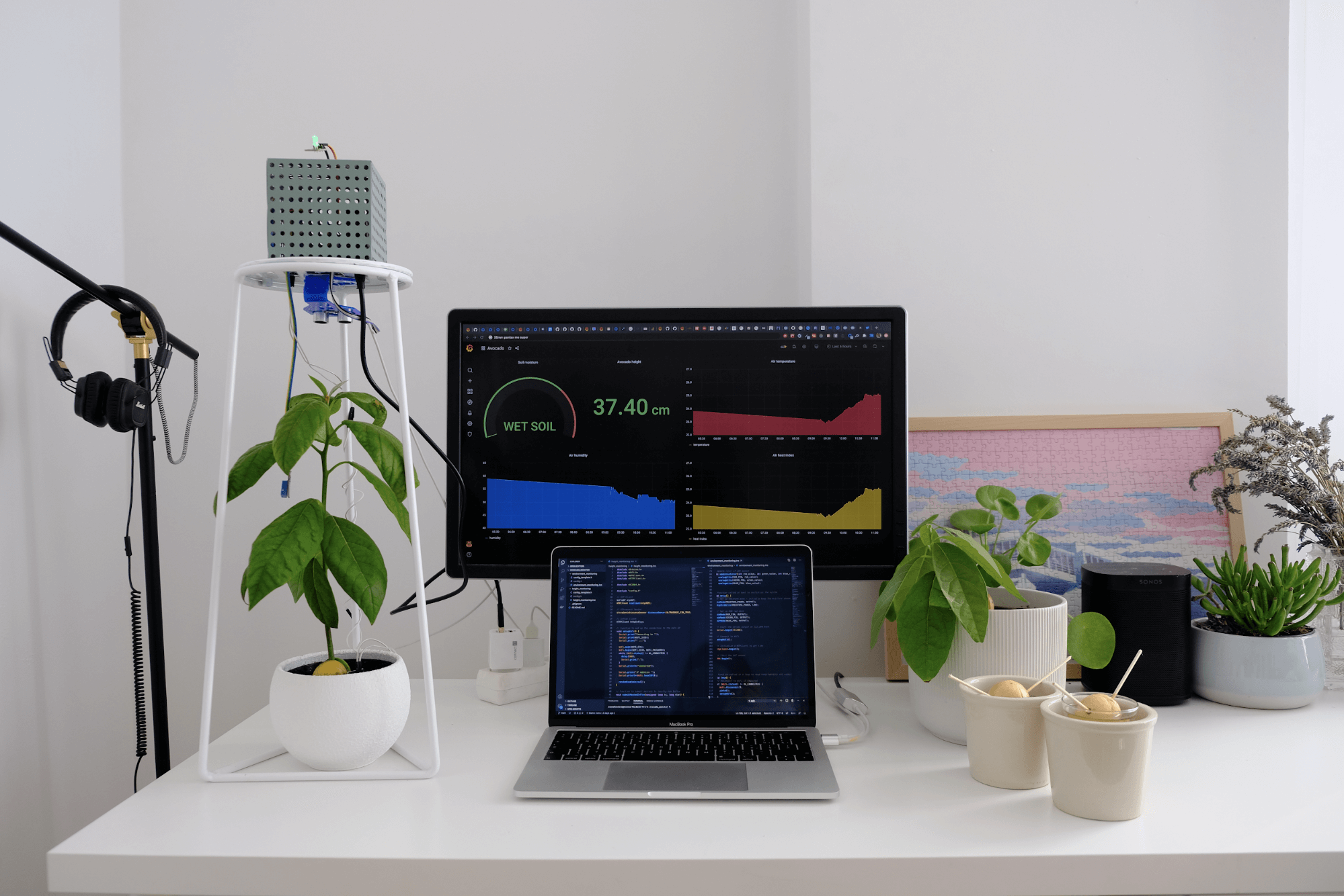 grounded plant Plant Pick