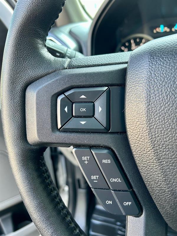 Ford F-150 19