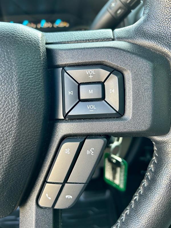 Ford F-150 20