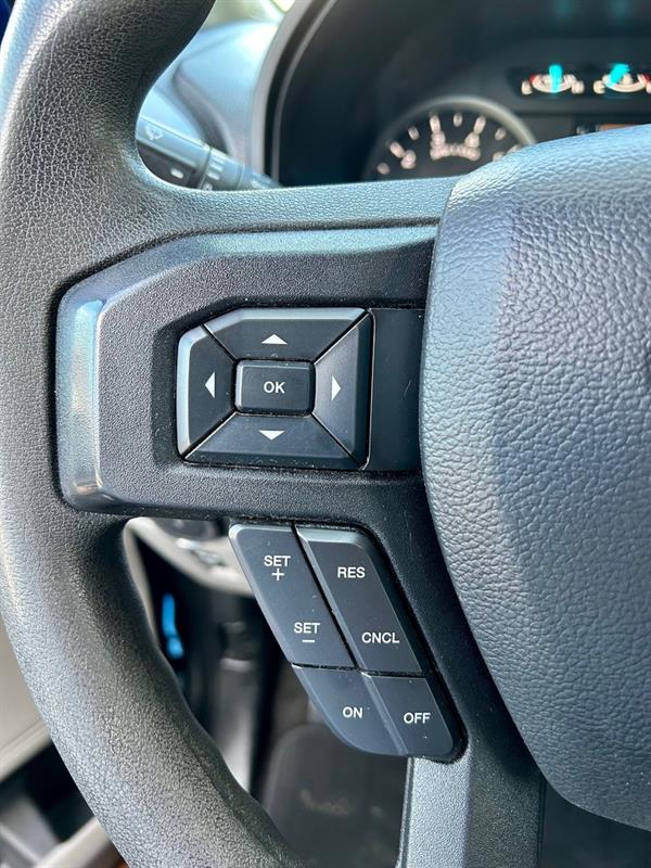 Ford F-150 19