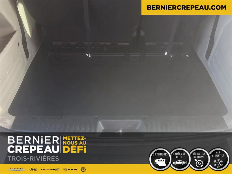 Dodge Grand Caravan 19