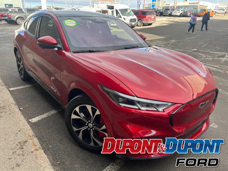 Ford Mustang Mach-e 6