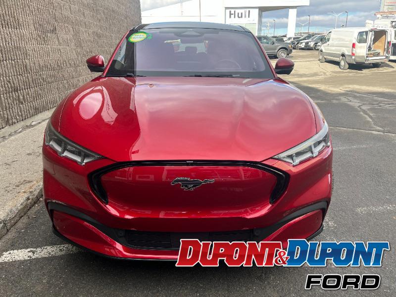 Ford Mustang Mach-e 7