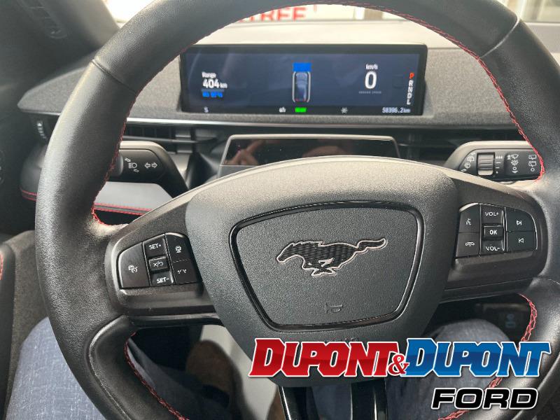 Ford Mustang Mach-e 22