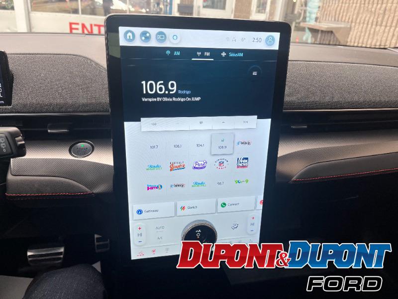 Ford Mustang Mach-e 23