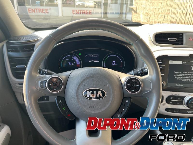 Kia Soul EV 15