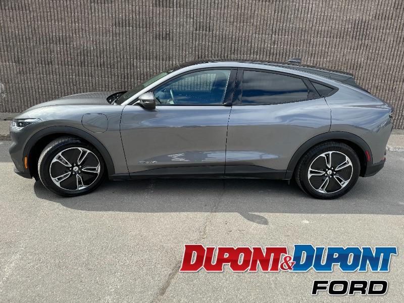 Ford Mustang Mach-e 2