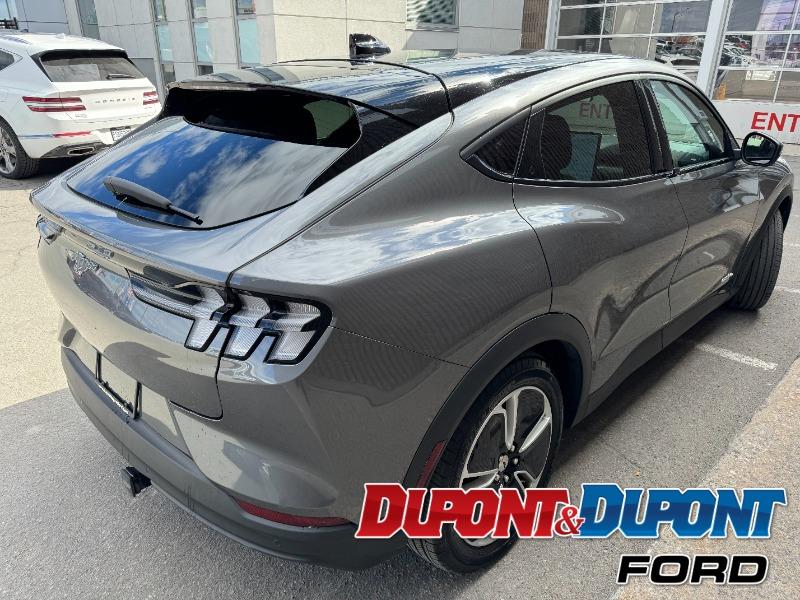 Ford Mustang Mach-e 5