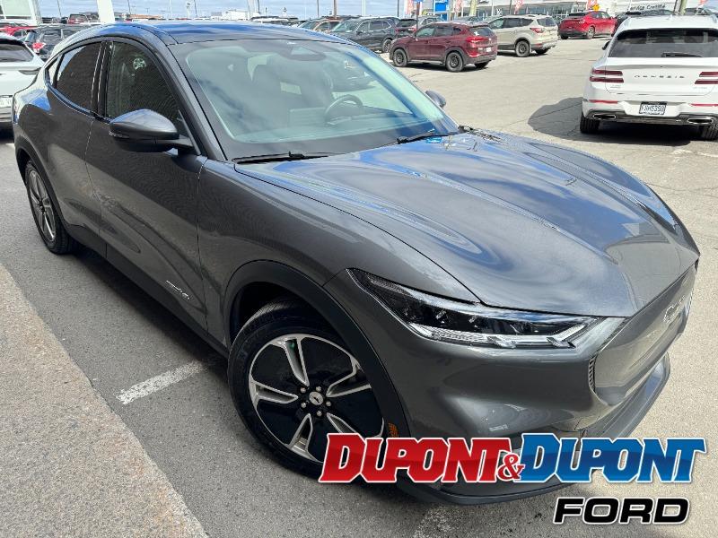 Ford Mustang Mach-e 6