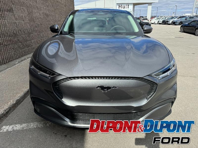 Ford Mustang Mach-e 7