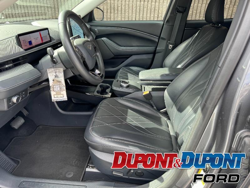 Ford Mustang Mach-e 10