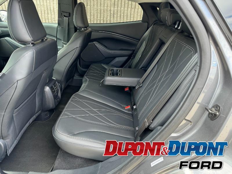 Ford Mustang Mach-e 12