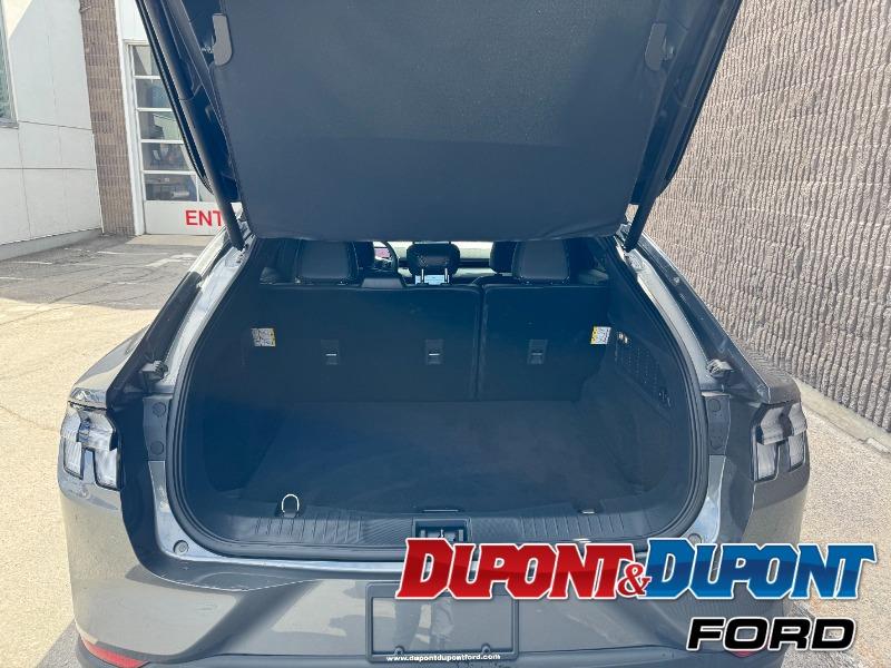 Ford Mustang Mach-e 13