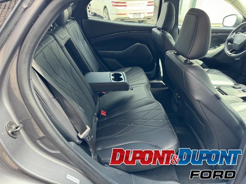 Ford Mustang Mach-e 15