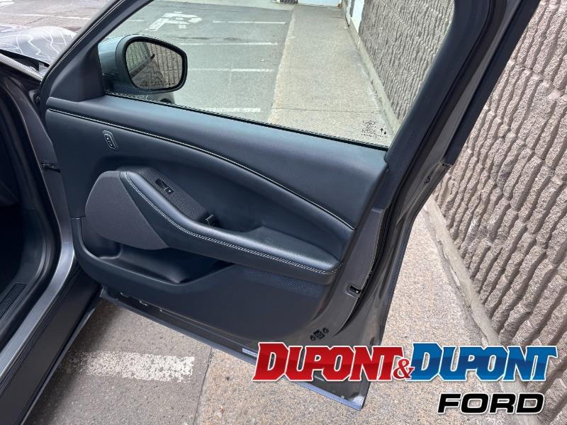 Ford Mustang Mach-e 16