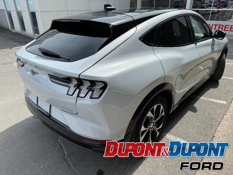 Ford Mustang Mach-e 5