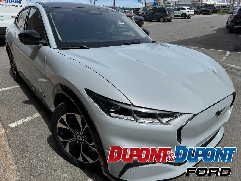 Ford Mustang Mach-e 6